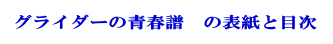 �O���C�_�[�̐t���@�̕\���Ɩڎ� 