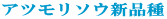 �A�c�����\�E�V�i��