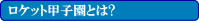 ���P�b�g�b�q���Ƃ�