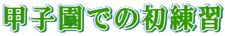 �b�q���ł̏����K 