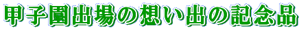 �b�q���o��̑z���o�̋L�O�i 