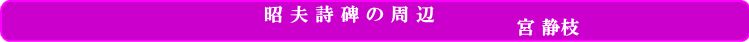 �{ �Î}�֘A