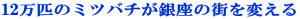 12���C�̃~�c�o�`������̊X��ς���