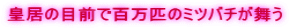 �c���̖ڑO�ŕS���C�̃~�c�o�`������ 
